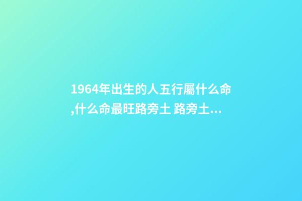 1964年出生的人五行屬什么命,什么命最旺路旁土 路旁土命和什么命最配-第1張-觀點-玄機派